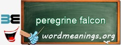 WordMeaning blackboard for peregrine falcon